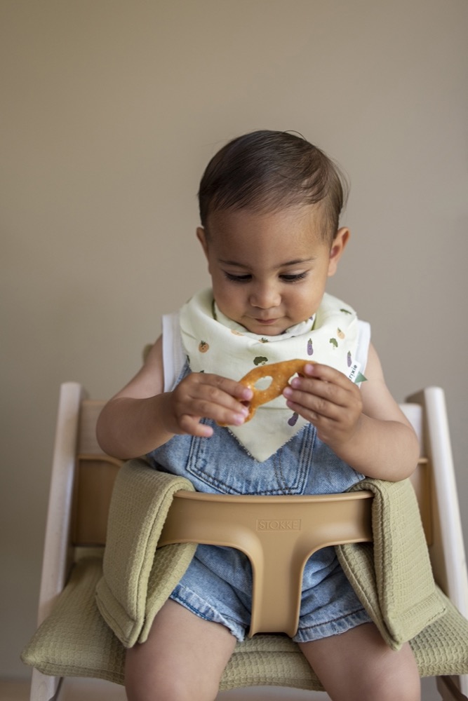 Bandana bib 3-pack mix - Friendly Vegetables